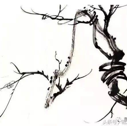 图文教程:中国画入门之写意枝干_变化_石头_赭石