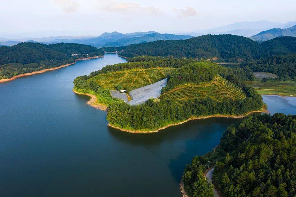 武东镇"光影湖畔美,绚丽六甲湖"摄影大赛评选结果出炉啦,镜头下的六甲