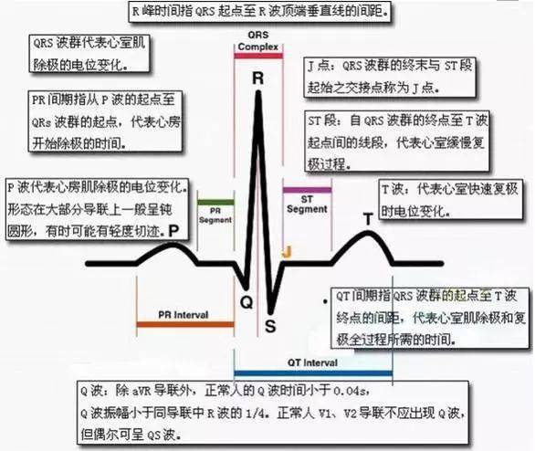 心电图速记口诀,临床医师必背!_min_电轴_窦性