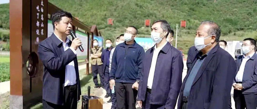 以高质量党建引领推动乡村全面振兴——全市抓党建促乡村振兴现场推进会在太白县召开_工作领导小组_组织_会议