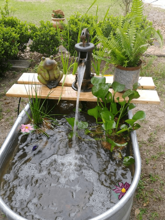 要是有院子,我也不想光種花草,地面嵌入不鏽鋼魚池,簡單又好看_人家