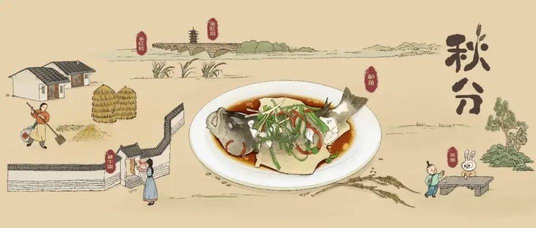 “不时不食 知时博食”系列之第八弹：秋分_吴江_鲈鱼_监君