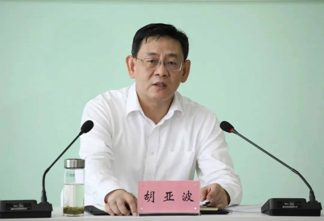 胡亚波任荆门市委书记_湖北省委_武汉市_地质