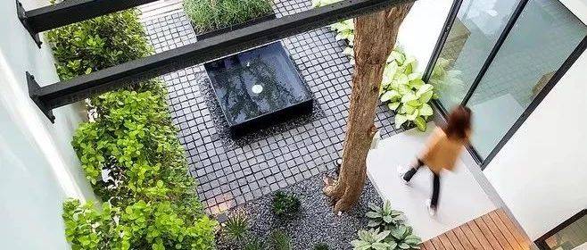 你的院子，就是你过的日子_都市_小院_心情