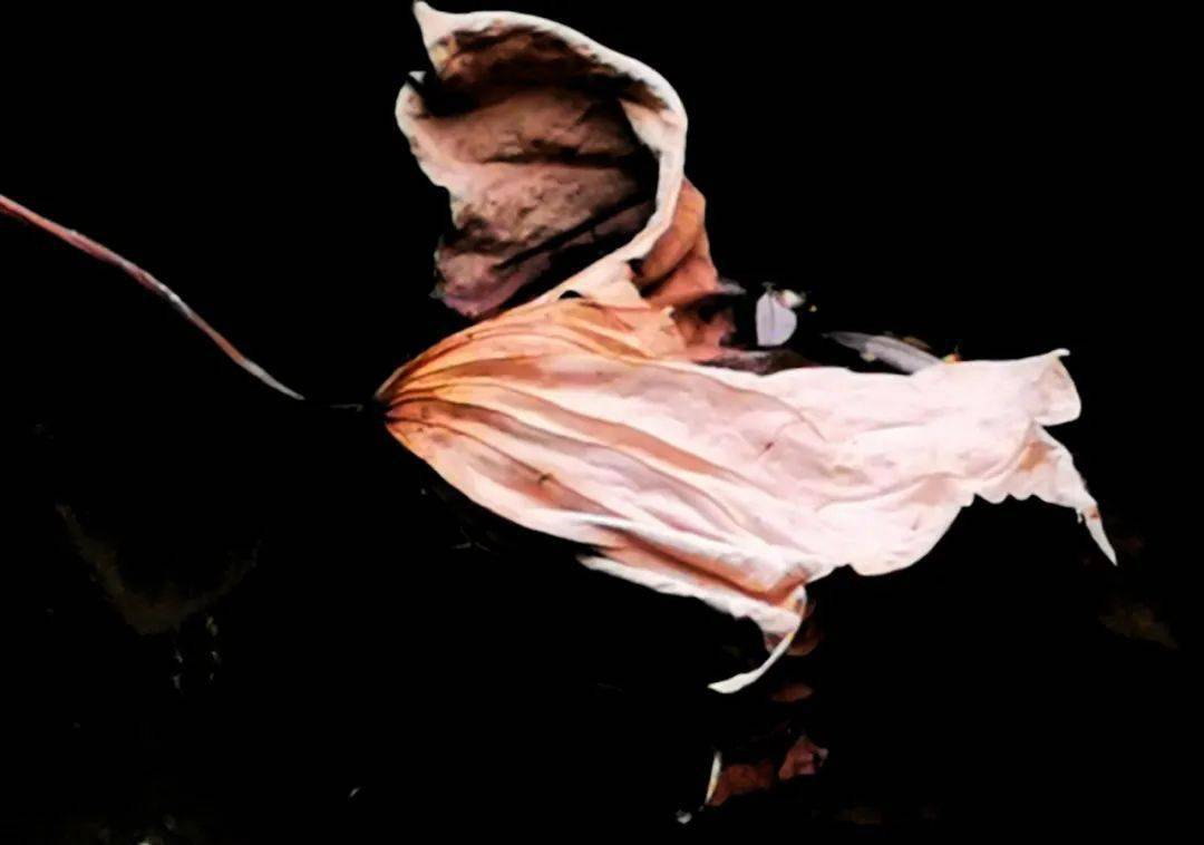 流水到远方去了斜阳透过树枝潜入水面去了只有小鸟偶落……蓦然回首