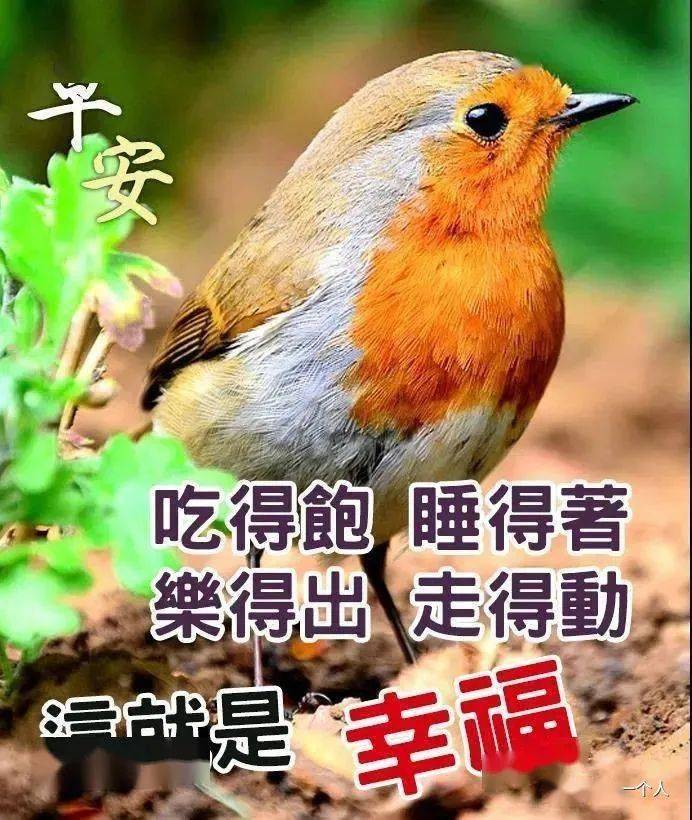 早上好動態表情圖片大全,早上好動圖美圖大全_生活_心情_陽光