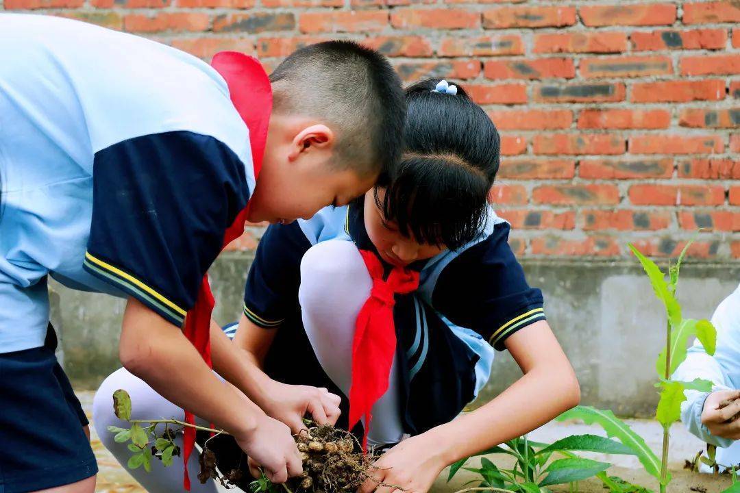 玉溪市龙潭小学图片