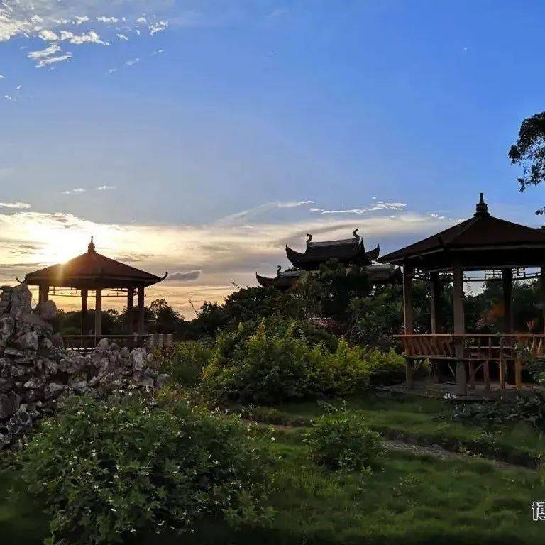 @博白人,机会来了,速来打卡邻县这个3500亩的大庄园!_旅游区_休闲_广西