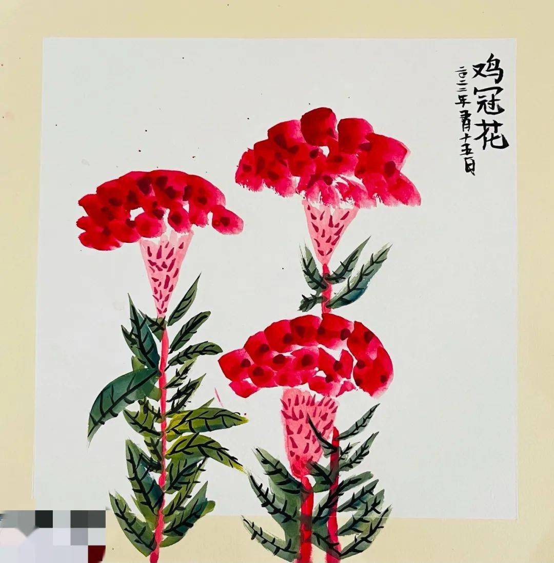 雞冠花,經風傲霜,花姿不減,花色不褪,有著