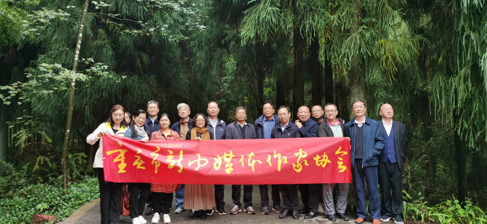 “最美绿色·森林康养”——重庆知名作家江津四面山采风宣传活动举行