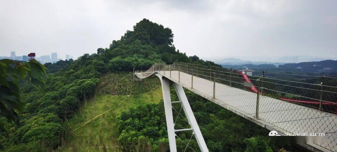 深圳:光明大顶岭绿道徒步 衔接城市与郊野的虹桥