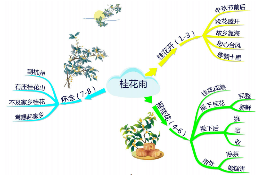 桂花雨的思维导图参考图片