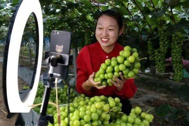 中国水果第一大省有多强？你想不到！