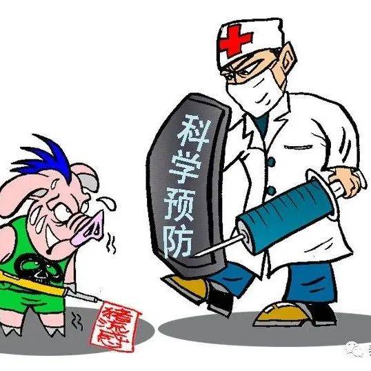 【病例分析】猪流感防控方案！养猪人快来学习！_金热诺_治疗_王丽