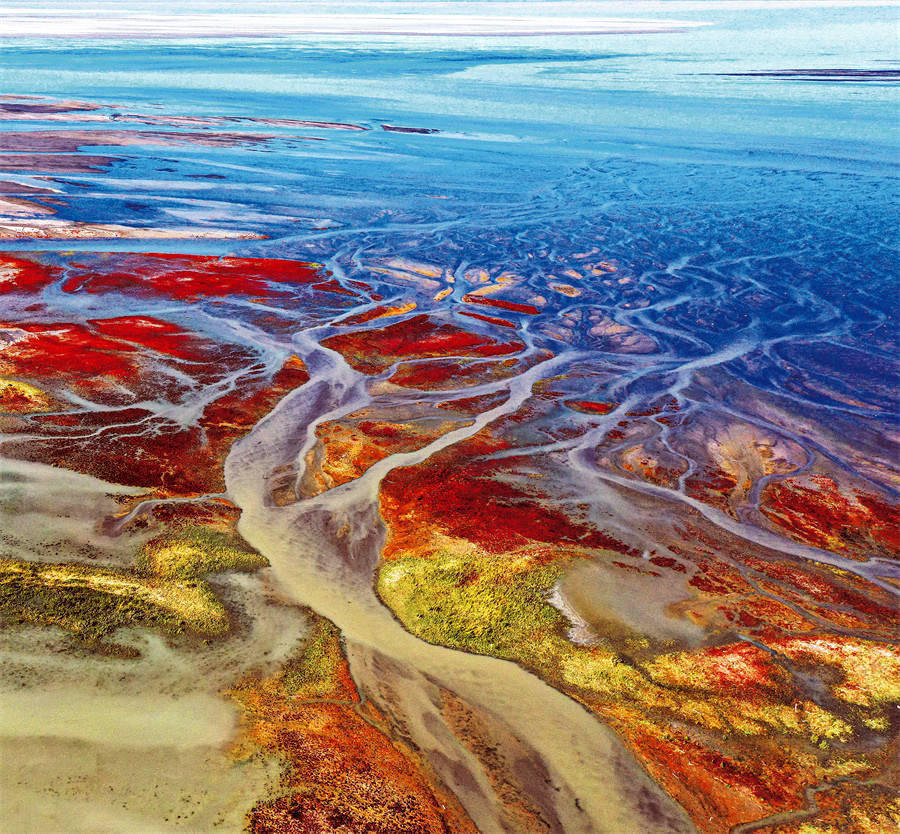 生命之屿艾比湖_精河_碧水_长天