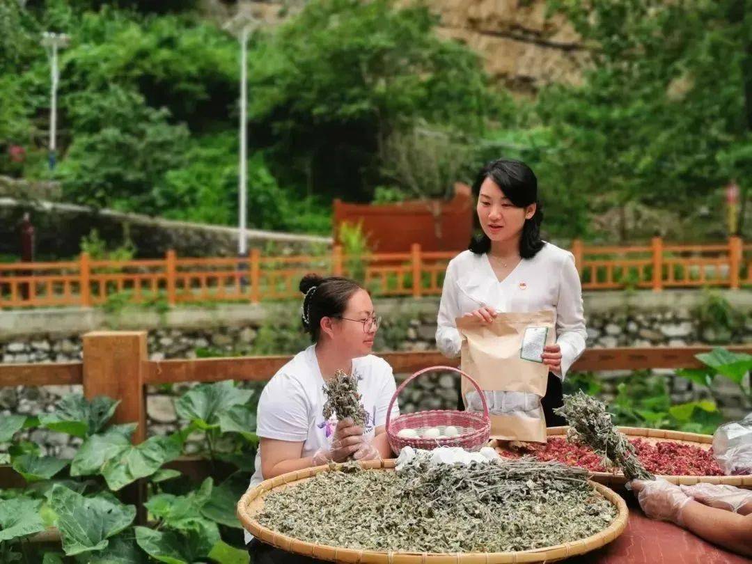 【人人都是旅游形象大使】荣获北京市"人民满意的公务员"称号的她这样