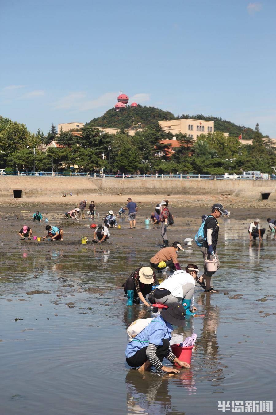 厦门后田海滩赶海图片