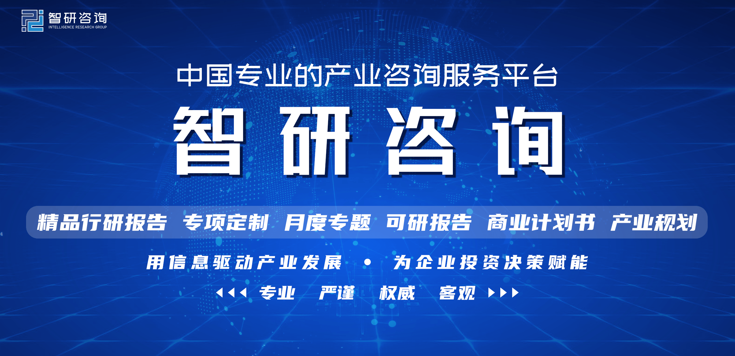 中国SDN安全技术行业市场调查分析及投资前景评估报告