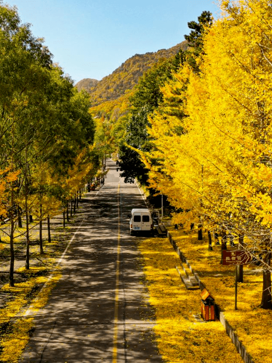 秋日無限好,讓洛陽秋天的美景治癒生活中的疲倦~_西苑公園_美的_油畫