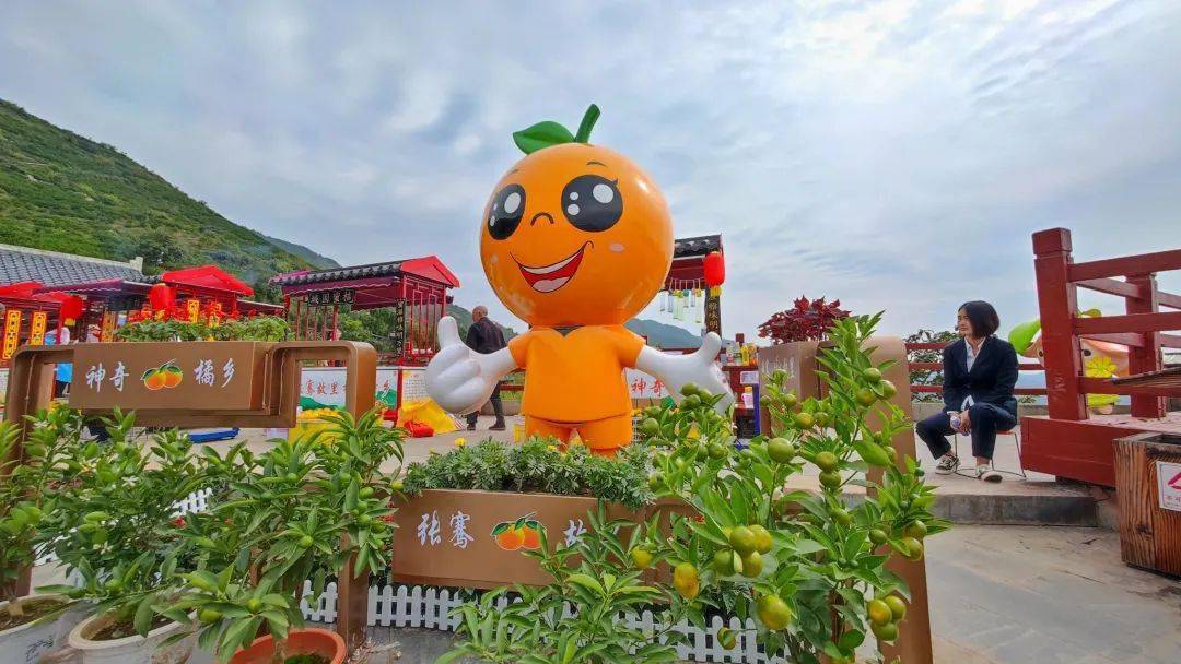 味蕾沉浸式体验城固美味来解锁农家乐花样吃法~桔香缘农家乐聚闲湾农