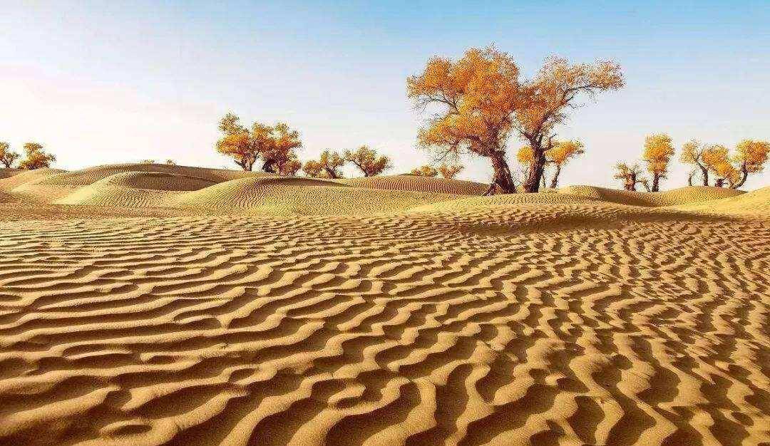 我国最“憋屈”的沙漠，身为国内四大沙漠之一，如今快成大漠绿洲