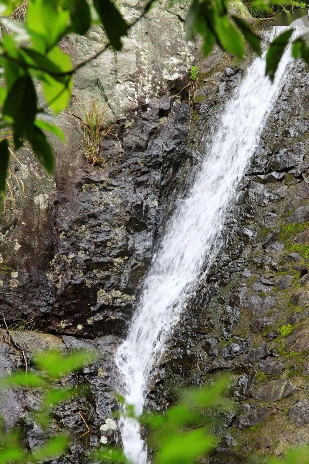 9元】第一波龙角岩森林公园 玻璃桥 悬崖观景平台成人票_时间_景区