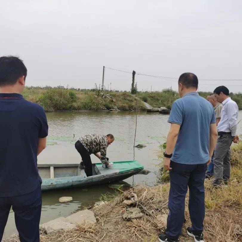 监利汴河镇:开展禁捕退捕 筑牢生态防线_宣传_执法_巡查