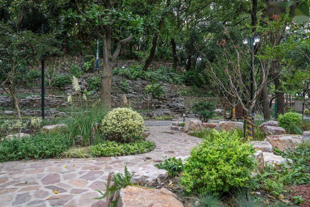 【探索】百年鲁迅公园:"破墙"见绿,焕新出发_改造_大连西路_市民