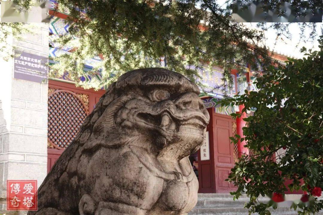 第19节:羊苴咩城遗址_南诏_大理_牟寻