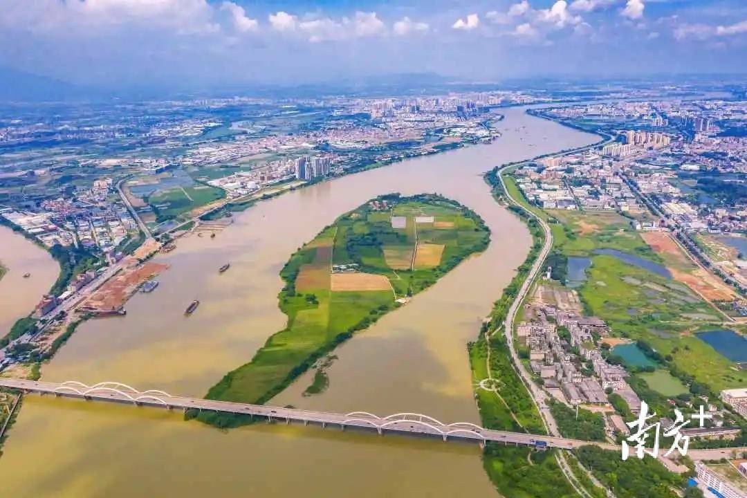 鲤鱼洲岛是东江河流中的一个沙洲岛,面积约1000亩,形似鲤鱼,是石排镇