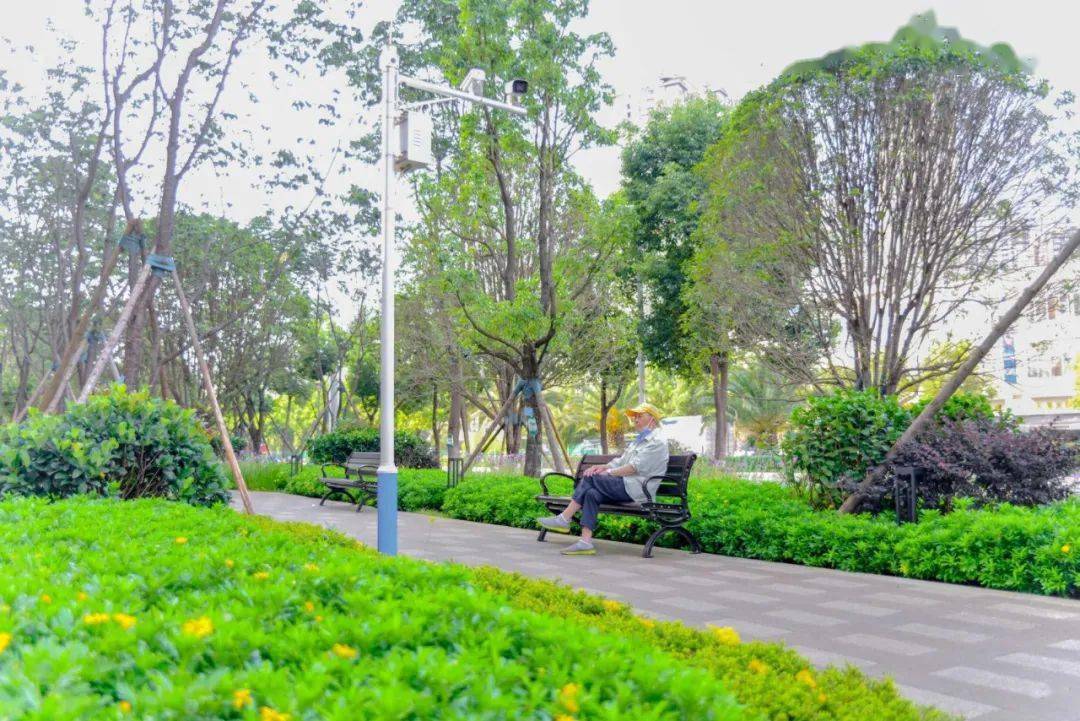 游园_公园_昆明市