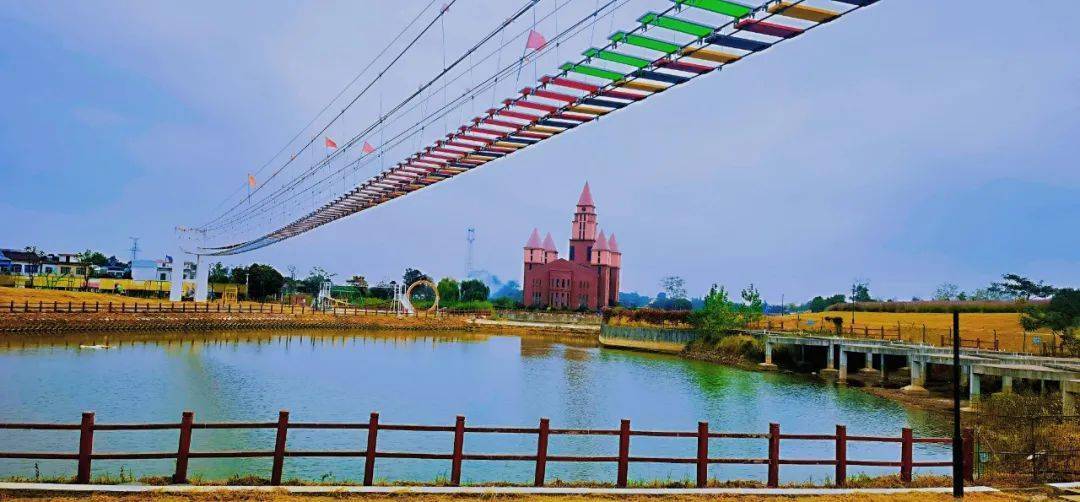 安徽人游安徽丨一起来桐城花间塘,打卡属于秋天的浪漫与热情~_的花海