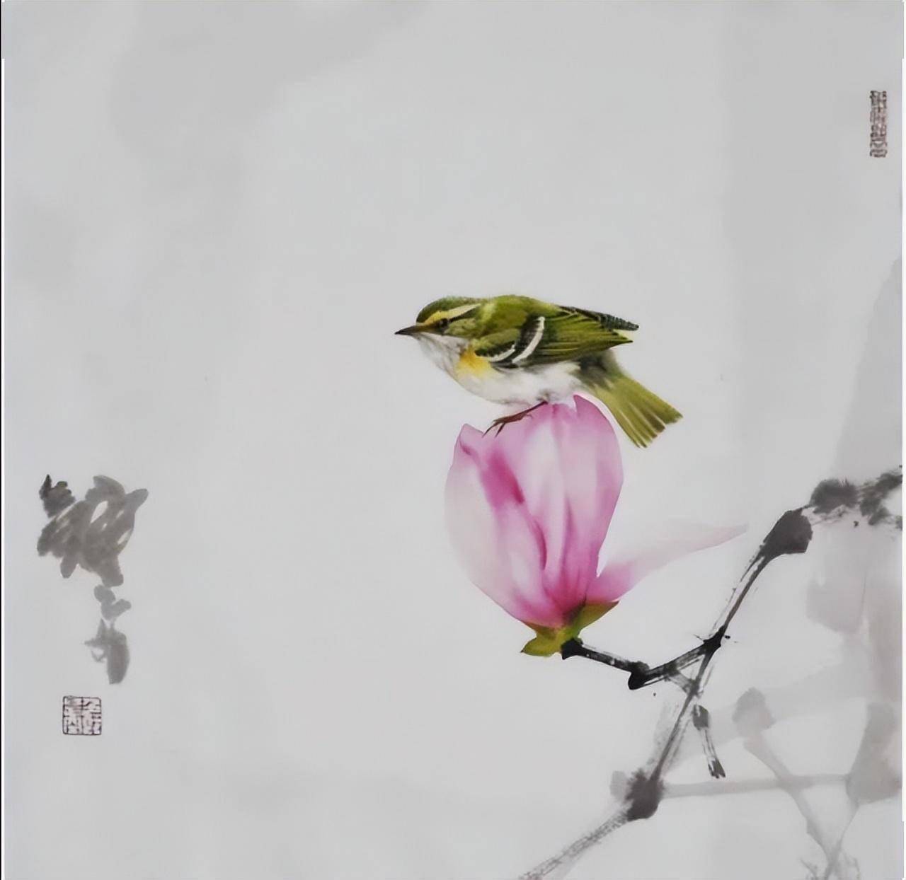 格调清雅|钟真 绝美水墨荷花小鸟_作品_翠鸟_荷叶