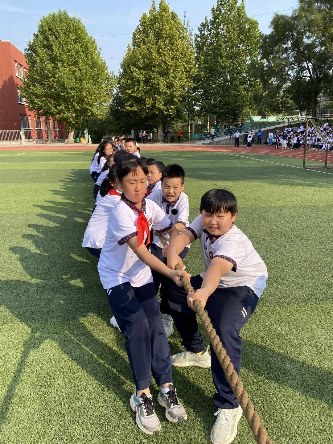 临淄区虎山学校举办2022年秋季达标运动会_看点_体育_的项目