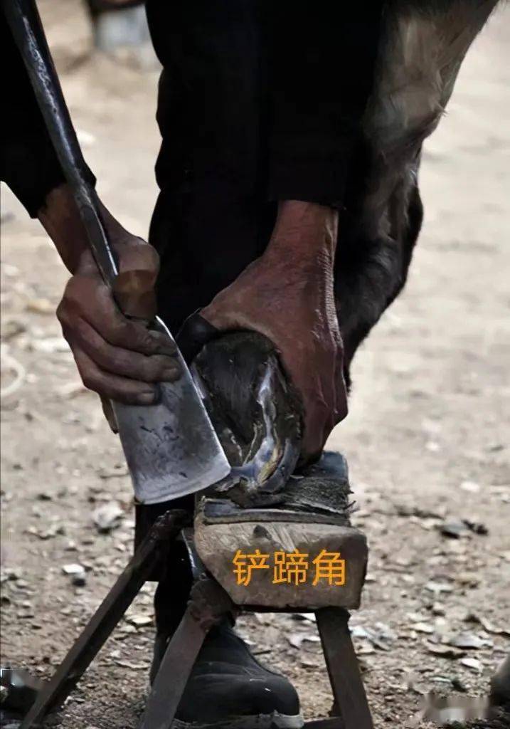 影像平谷:梁志顺《即将失传的手艺:钉马掌》_马蹄_高师傅_马匹