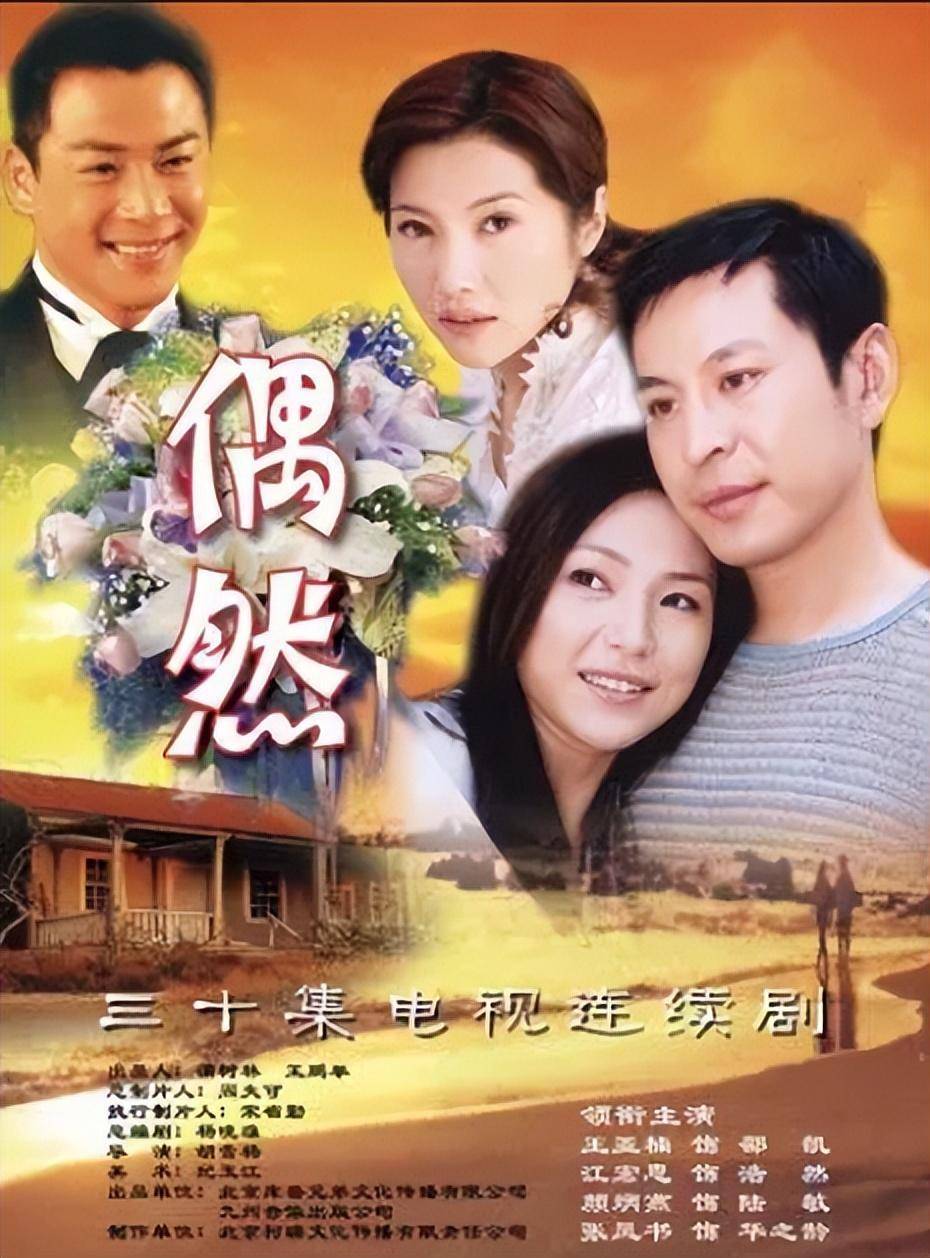 王亚楠电视剧《偶然》海报来到北京后,王亚楠如鱼得水,相继主演了电视