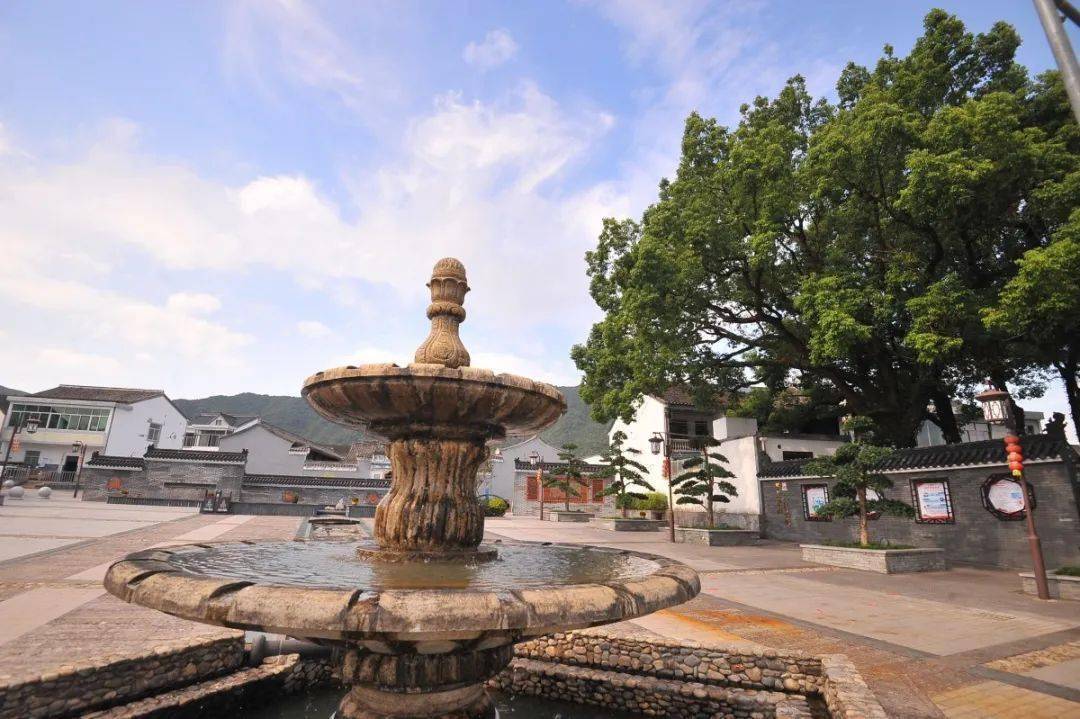 农房改造后，奉化这个村成了打卡地……_章胡村_宁波_街道