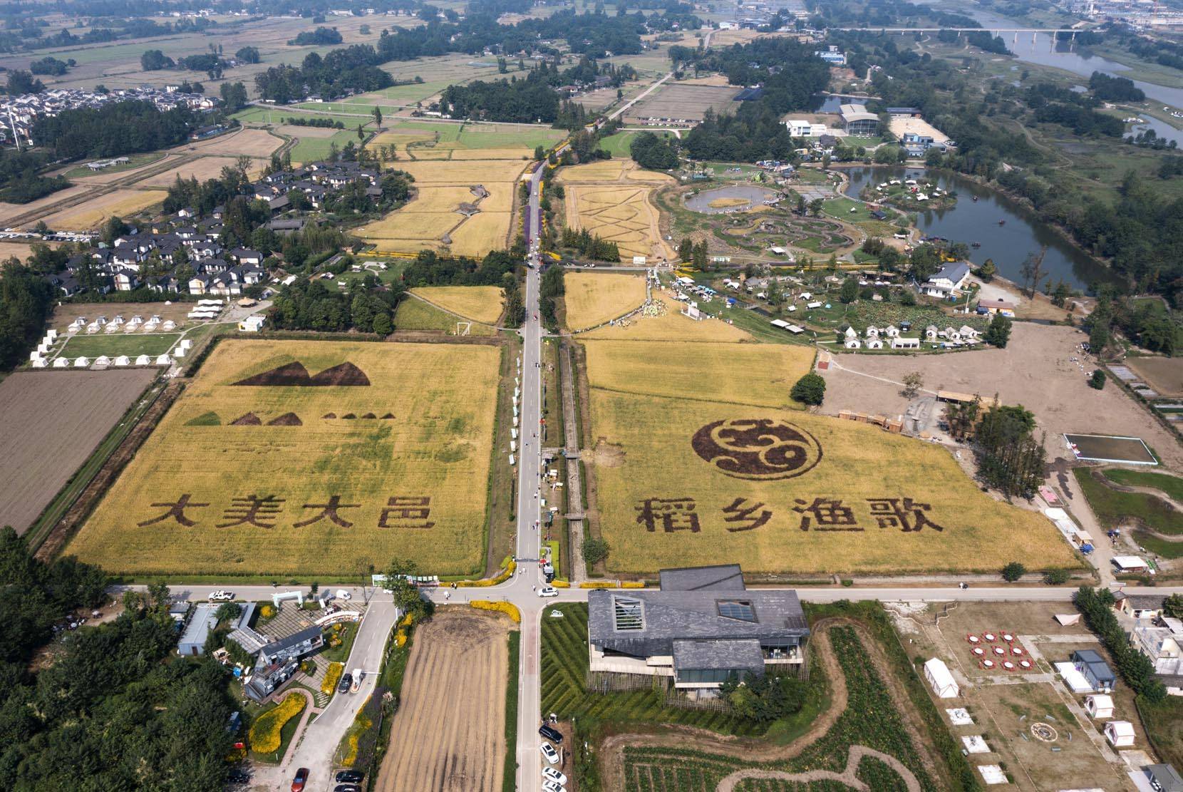 成都大邑:稻香渔歌金秋美如画_佳节_国庆_防疫