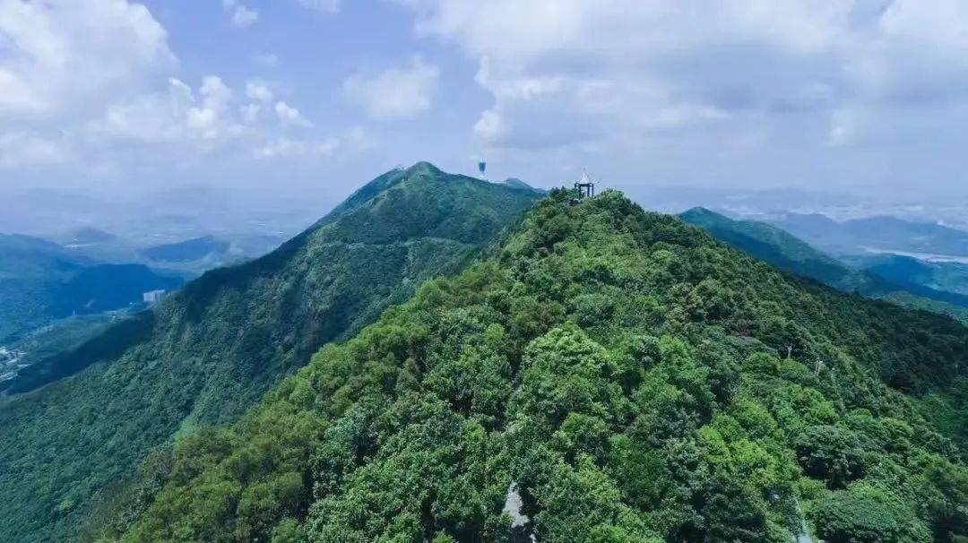 登高望远,探索梧桐山的"ab面"_仙湖植物园_深圳_游客