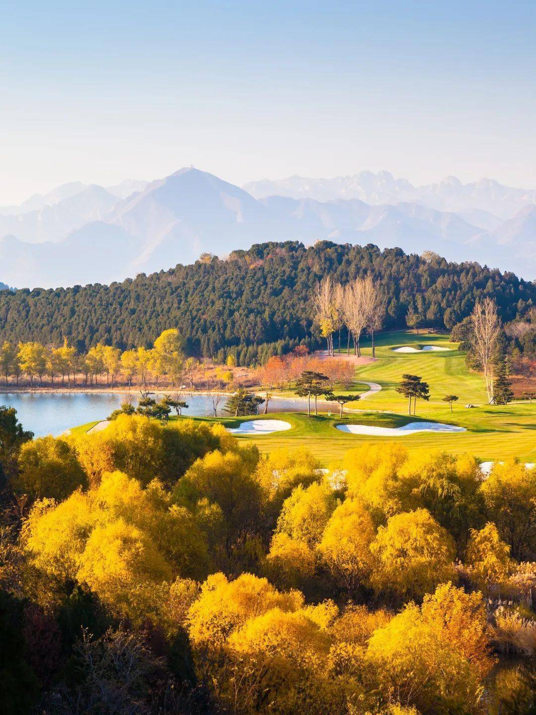 初秋的北京,天愈凉,叶渐黄.银杏叶落后,即将洒满令人迷恋的胡同街巷.