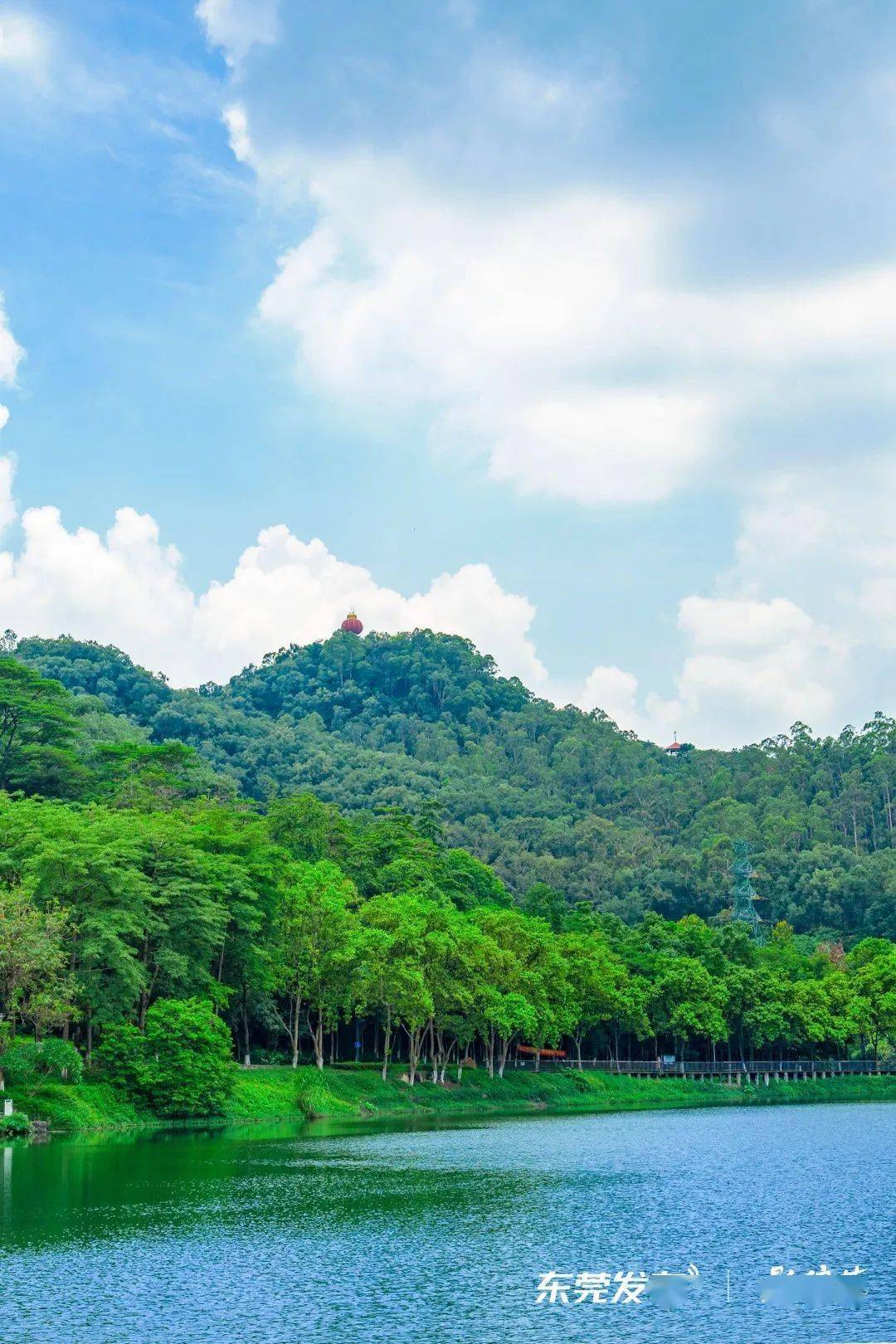 东莞秋日爬山好去处→_登山_长安镇_莲花山