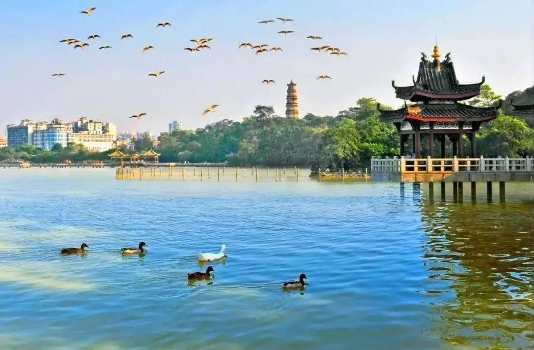 文字描摹记忆故土,心灵飞向四方美景_西湖_鲁迅故里_厦门