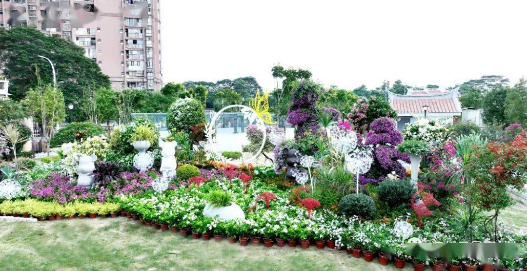 山东时令花卉批发市场地址查询