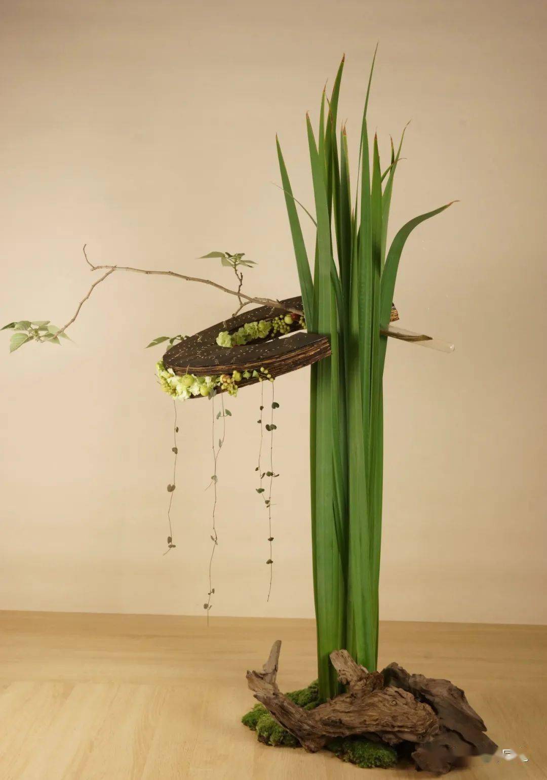 听韩海再谈中国特色现代花艺设计 | 动态_元素_作品_创作