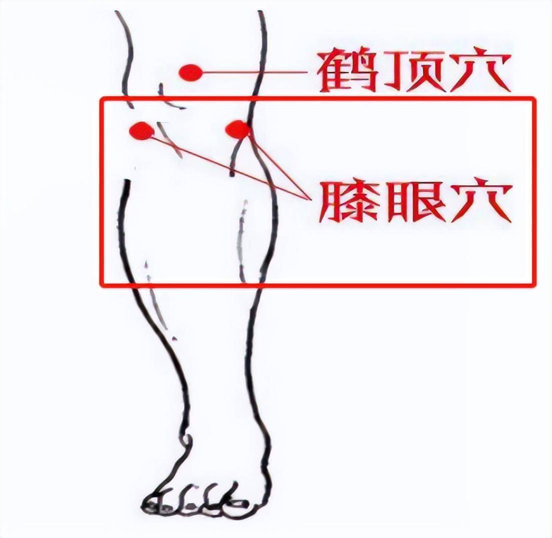 【膝眼穴】 广州中医药大学第三附属医院陈波燕医生给大家推荐以下穴位，日常可以尝试多按揉自我调理，缓解