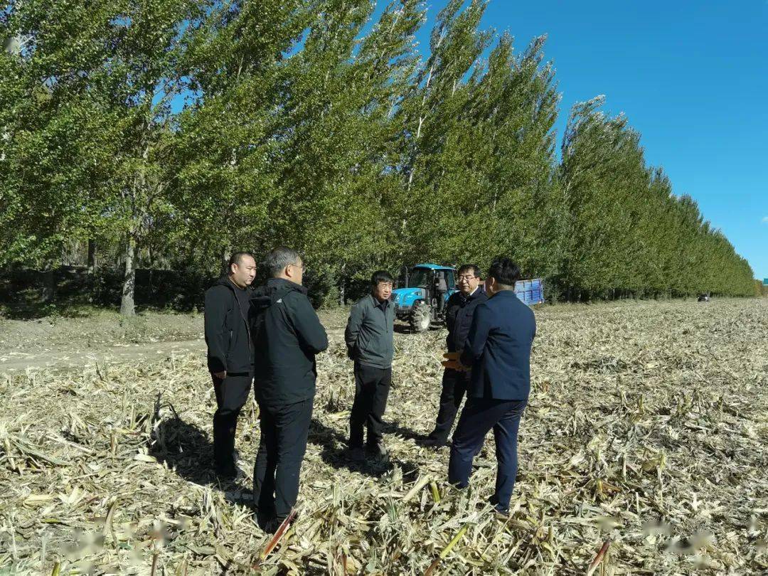 张宝林到勤得利农场有限公司检查指导秋收工作