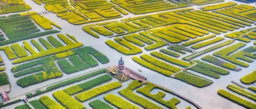 兴化垛田当选世界灌溉工程遗产_灌排_体系_江苏省