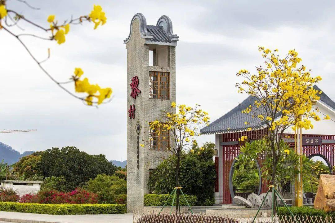 谢岗镇_乡村_建设