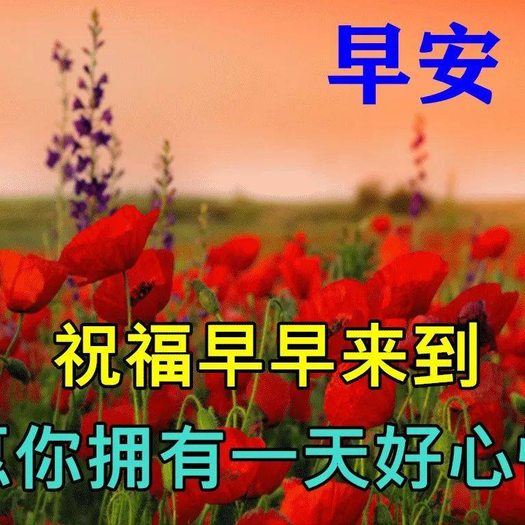 10月7日秋天早上好动态表情图片大全，早晨好动图美图大全 是一种 祝福 生命