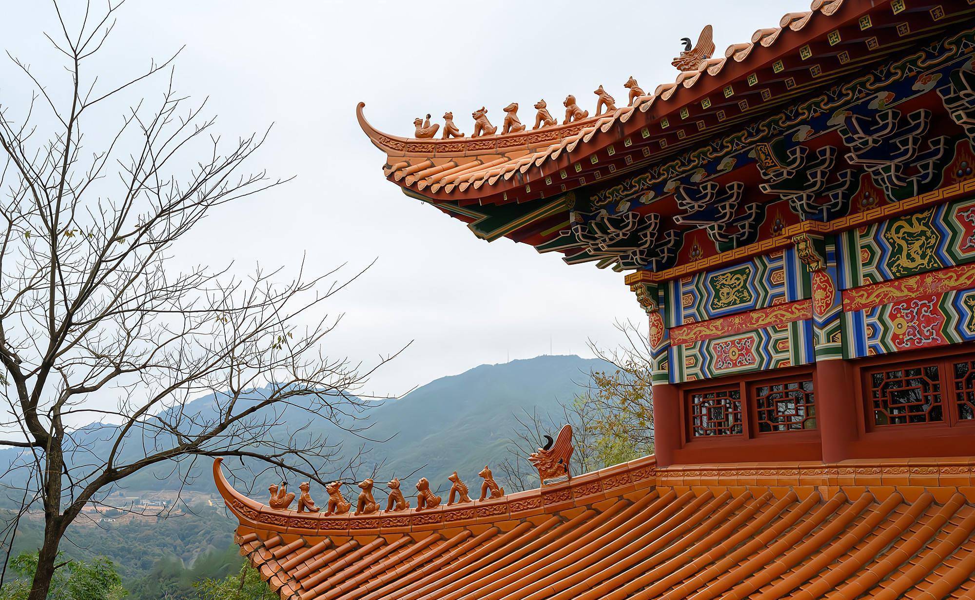 藏在全南高山之巅的天龙山寺,至今400多年历史,常年香火旺盛